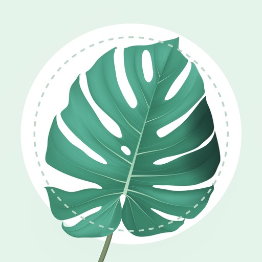 PlantMe