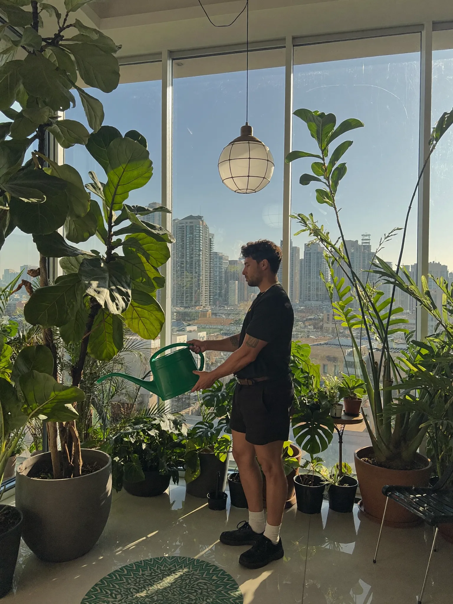Ahmed's indoor plant jungle in a sunlit Dubai apartment