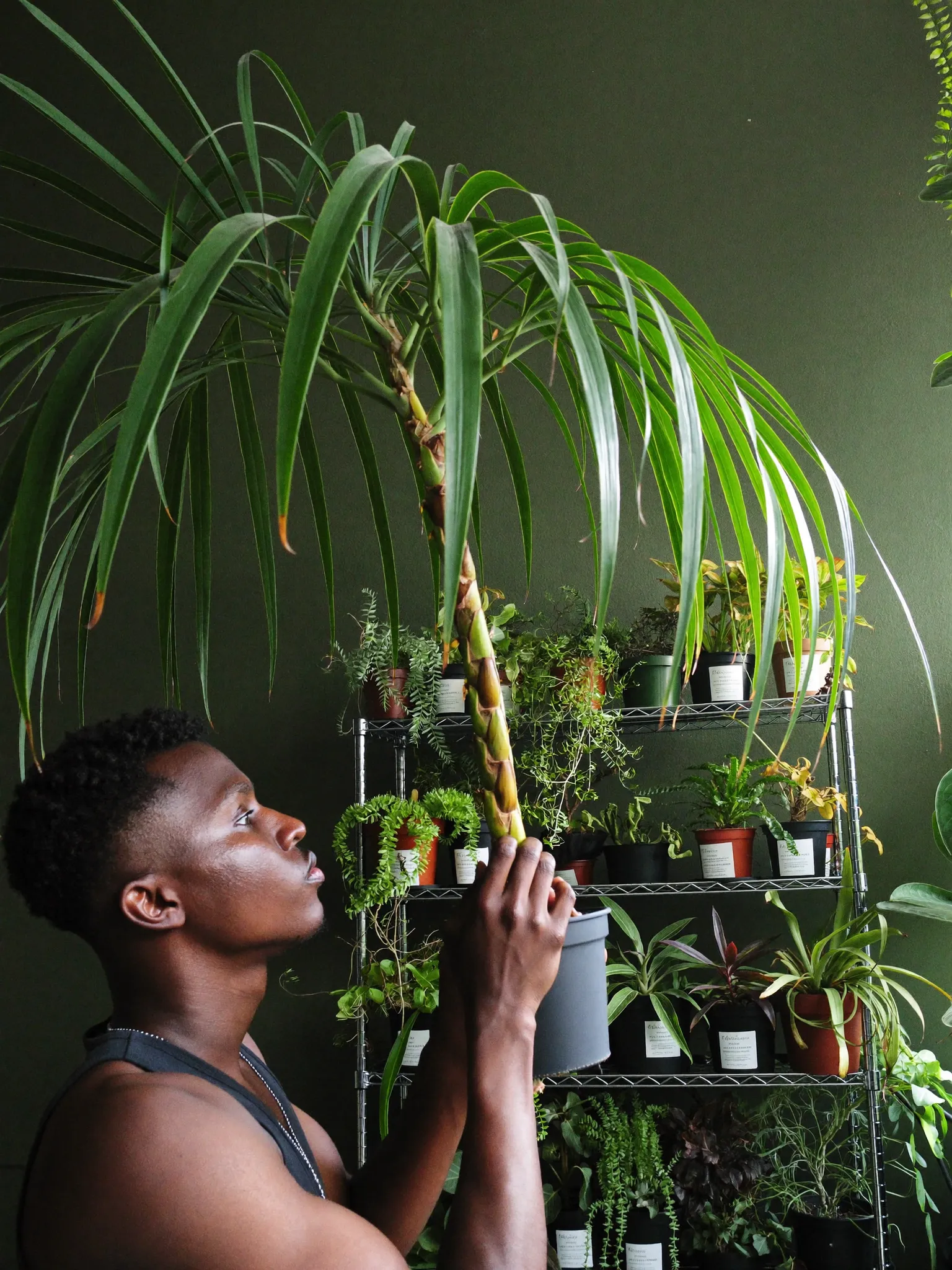 Lucas with a rare aroid in his São Paulo plant corner