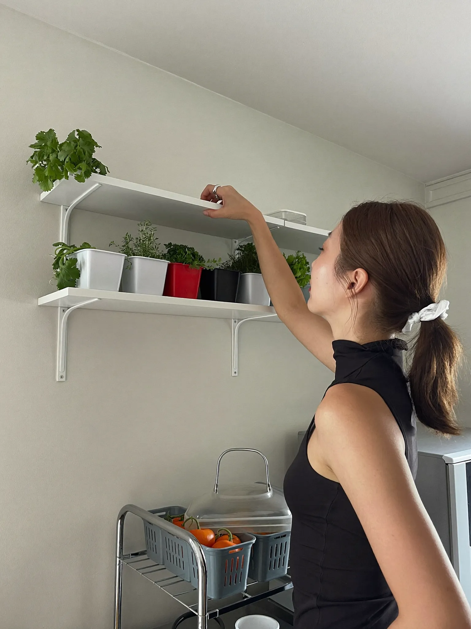 Mia tending kitchen herbs above the sink in her Seoul apartment