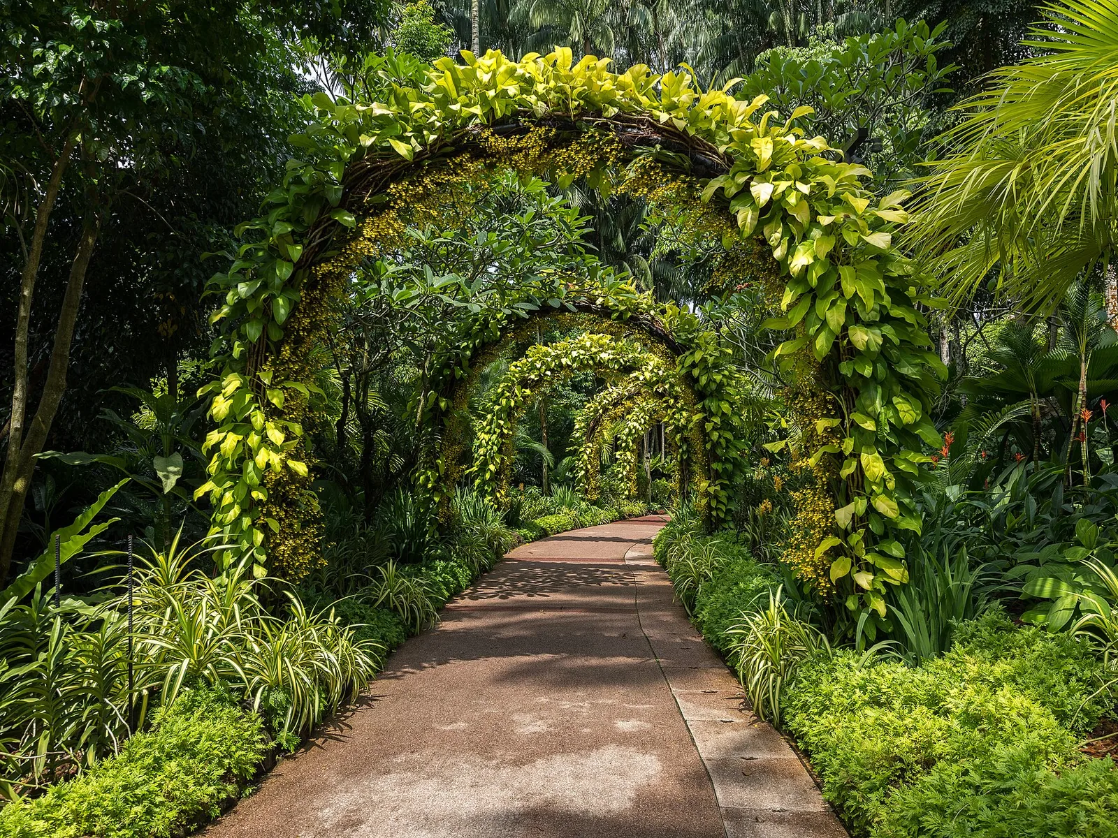 Alley of vegetated arches at the National Orchid Garden, Singapore Botanic Gardens