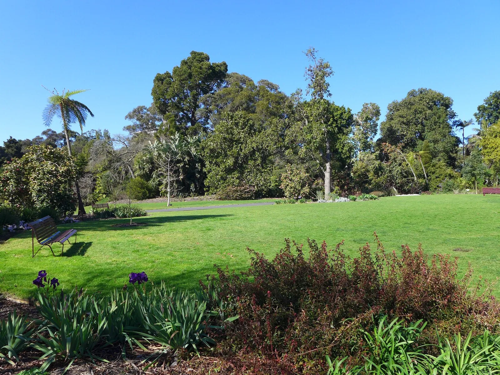 Southern Lawn at the Royal Botanic Gardens, Melbourne