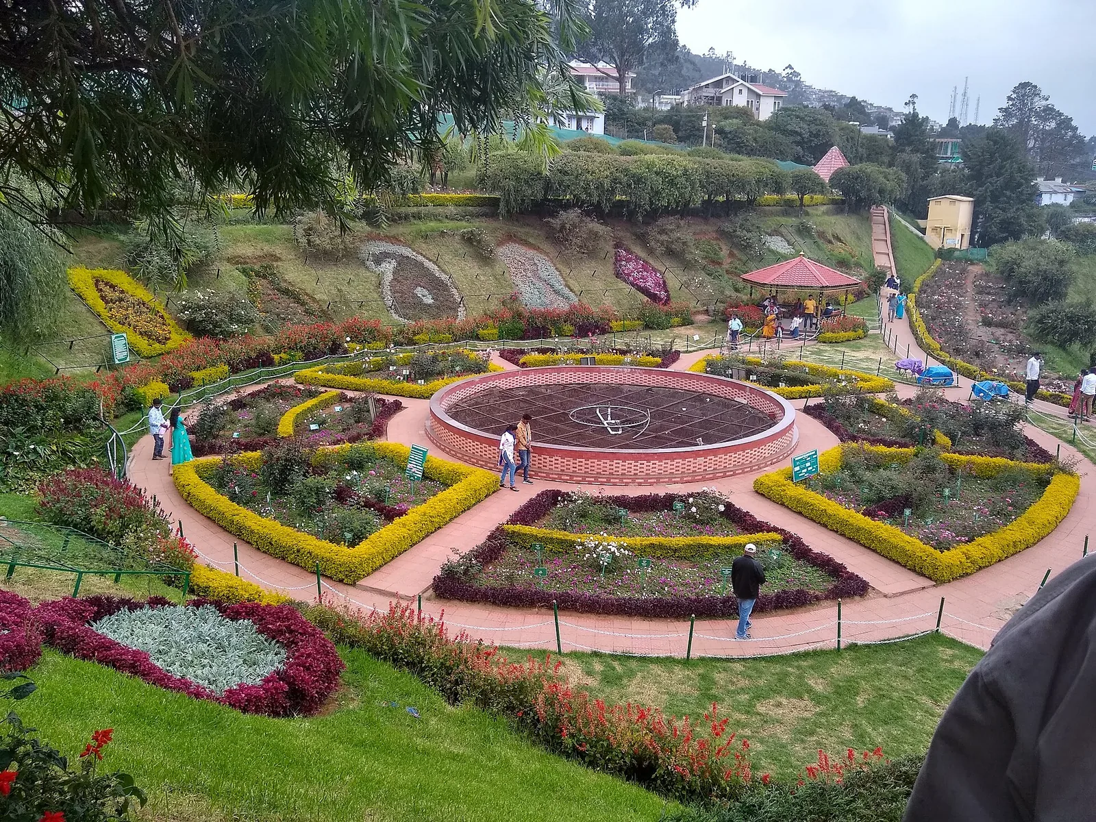 Terraced rose beds at the Government Rose Garden, Ooty, Tamil Nadu