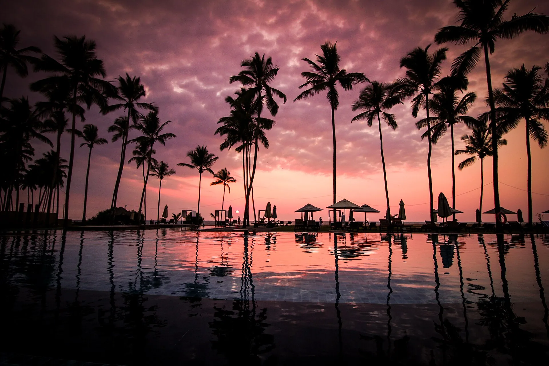 Resort swimming pool framed by palms and tropical planting in Negombo, Sri Lanka