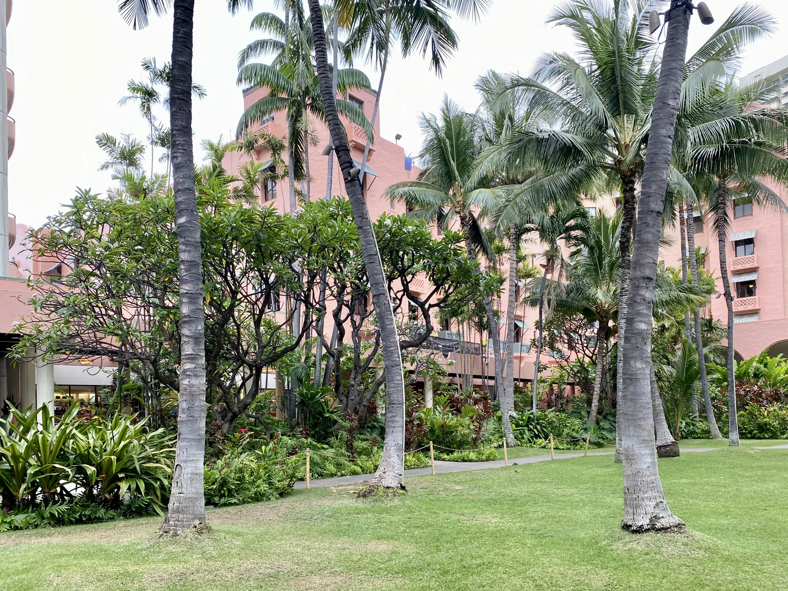 Palm-lined lawn and frangipani grove in the courtyard gardens of the Royal Hawaiian Hotel, Waikiki