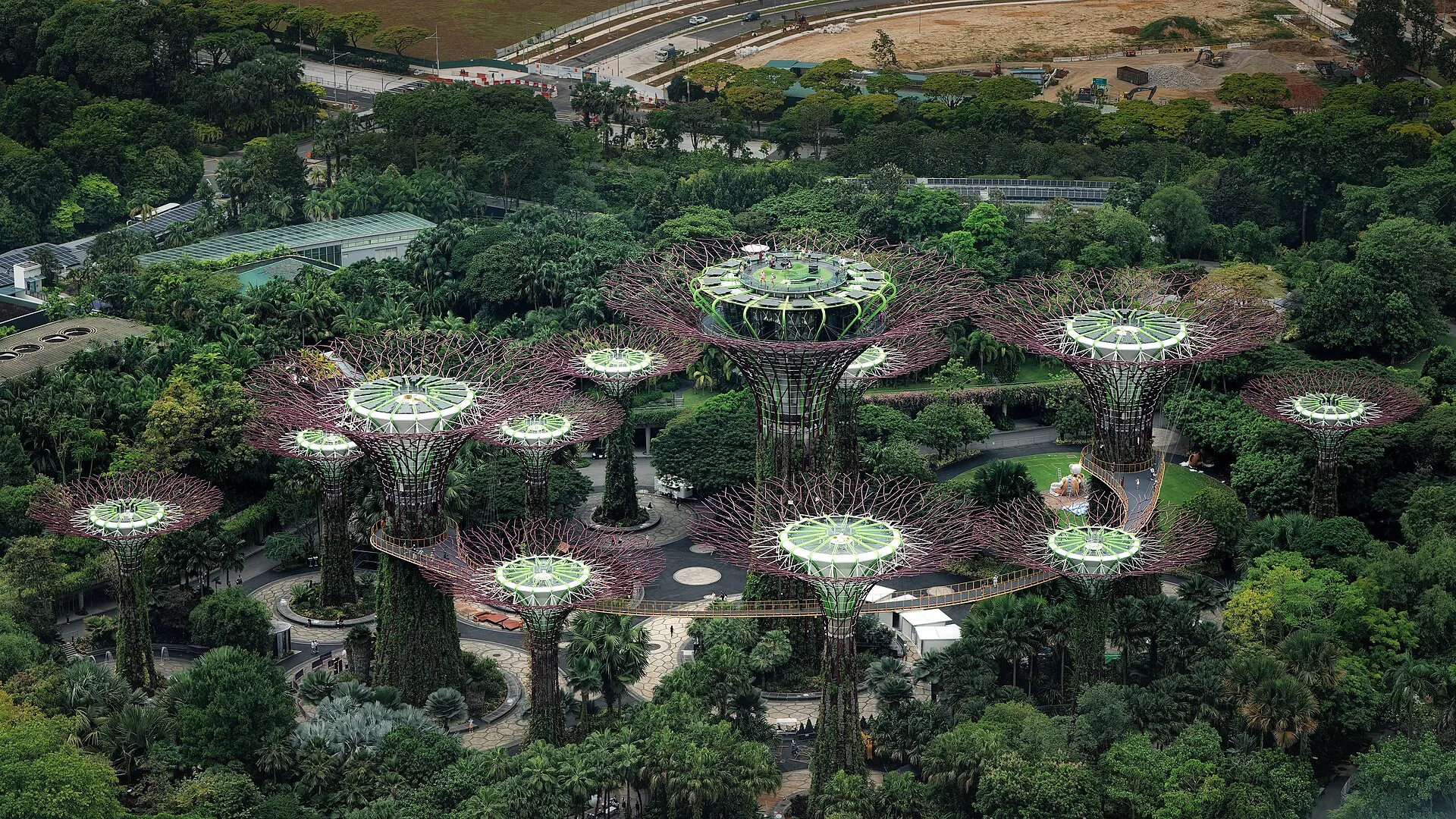 Supertree Grove at Gardens by the Bay, Singapore, at dusk