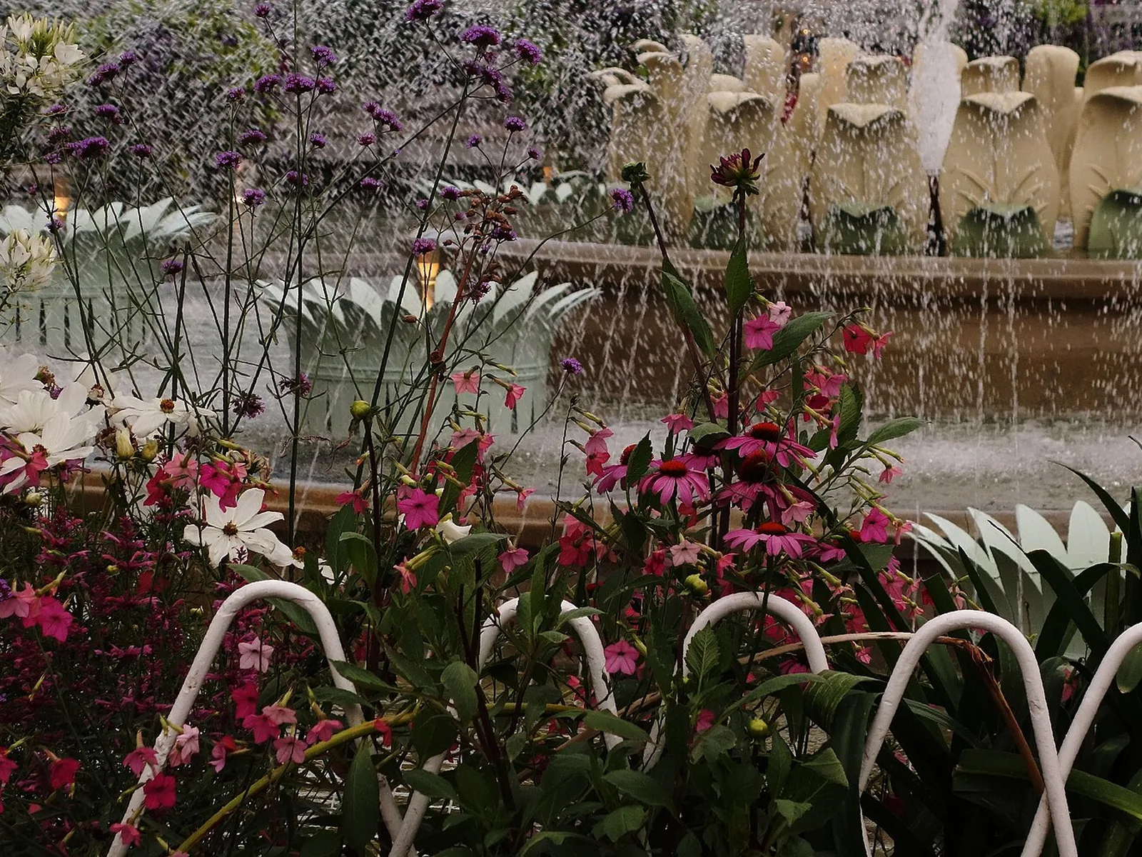 Flowers along the water at Tivoli Gardens amusement park, Copenhagen
